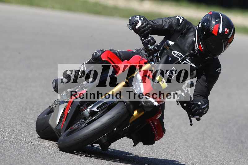 /46 11.08.2025 PADDYS-RACES-DAYS ADR/Sport-Profi/5